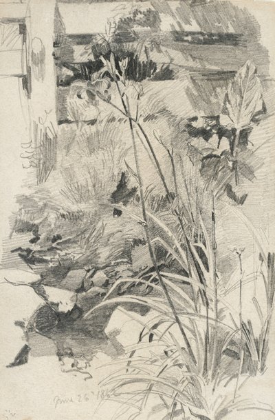 Day Lilies by a Wooden Fence by William Trost Richards